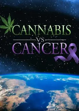 关于大麻与癌症：一部触动人心的纪录片，探索治疗新希望