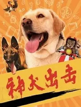 《神犬出击》：忠诚伙伴的冒险之旅，热血沸腾的军犬传奇！